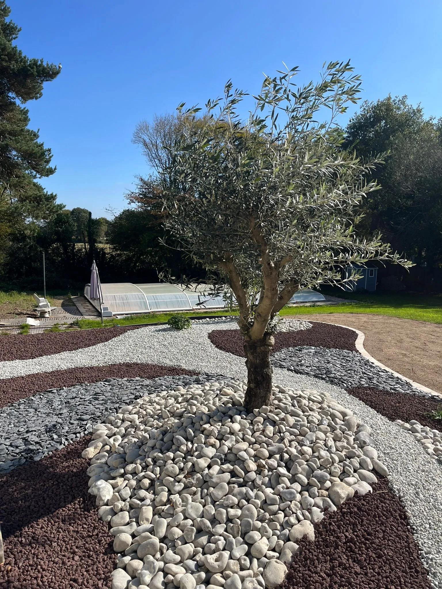 Création de jardin minéral avec olivier à Sainte-Pazanne par Gaïa Paysage.
